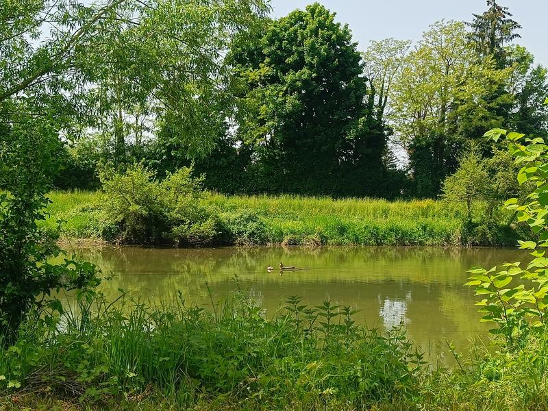 Aire de pique-nique_Saint-Genix-les-Villages