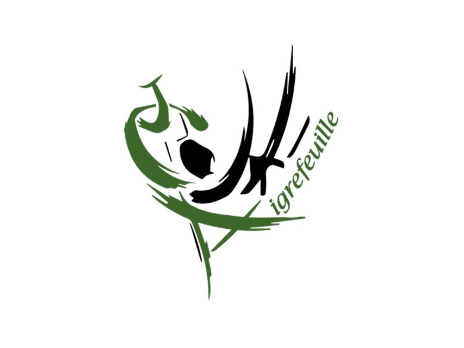 Judo Club d'Aigrefeuille