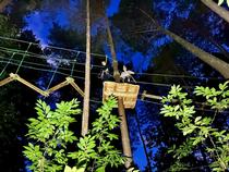 Les Nocturnes accrobranches - Aventures Floréval_Bruyères-le-Châtel