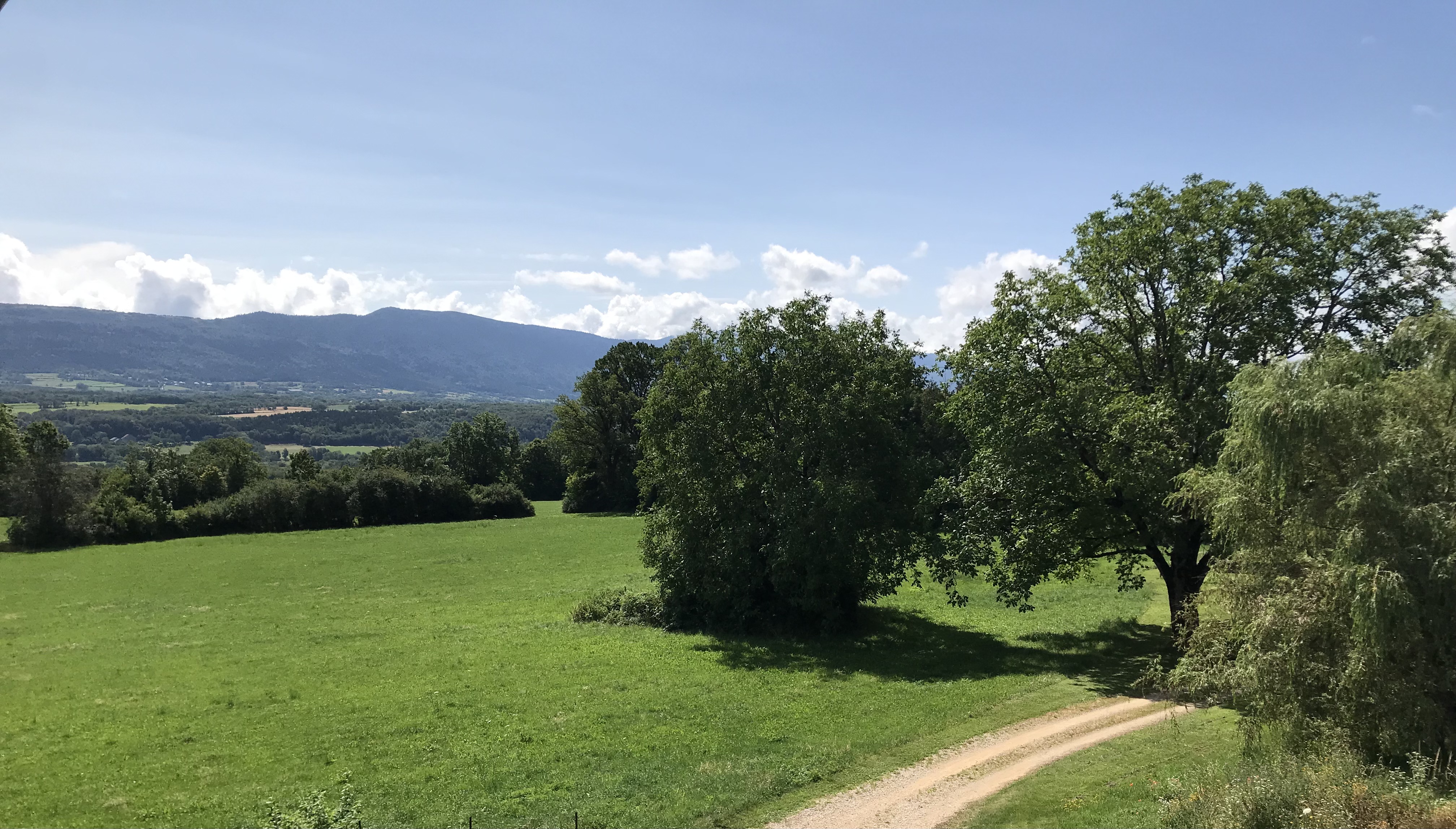 G�te de l'Ain t'y piques