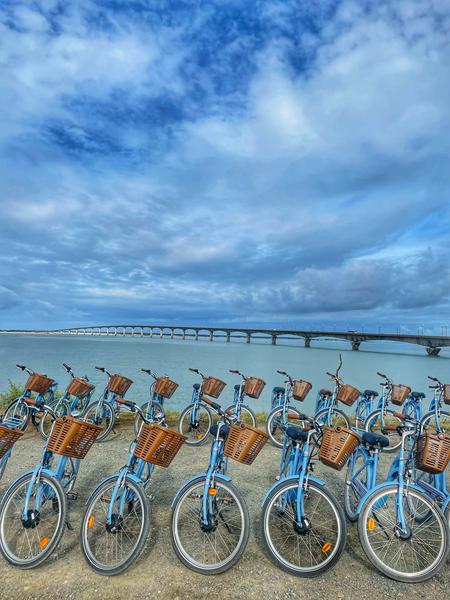 Notre flotte de vélos bleus