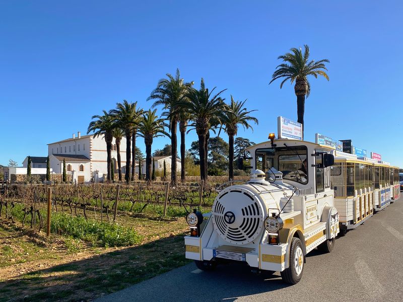 Le Petit Train de la Londe-les-Maures dans les vignes