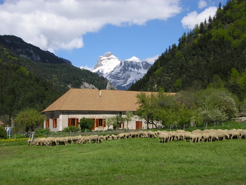 Hameau du Trabuëch