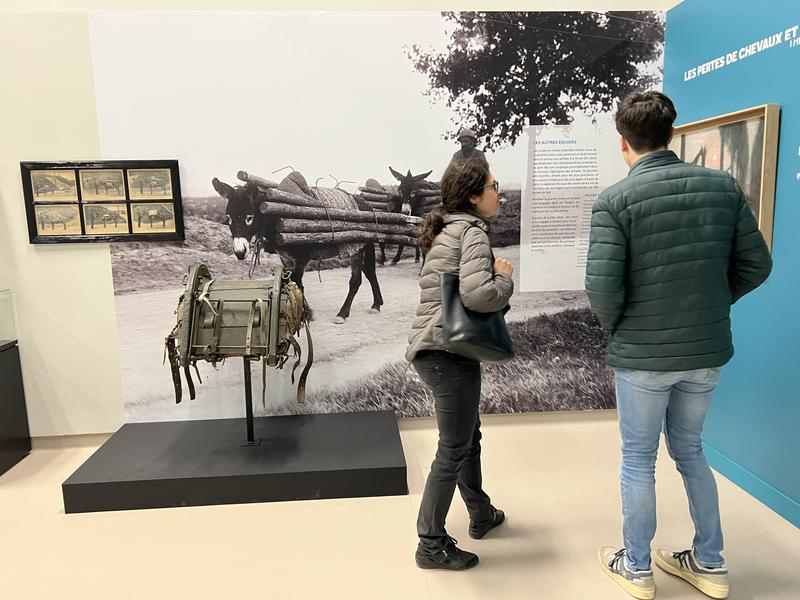 Visite guidée - Exposition " Des chevaux et des hommes"