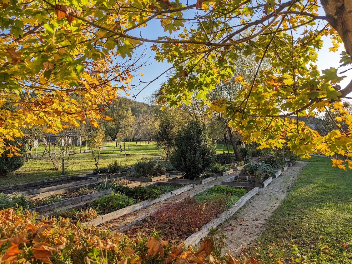 Jardin des simples en automne