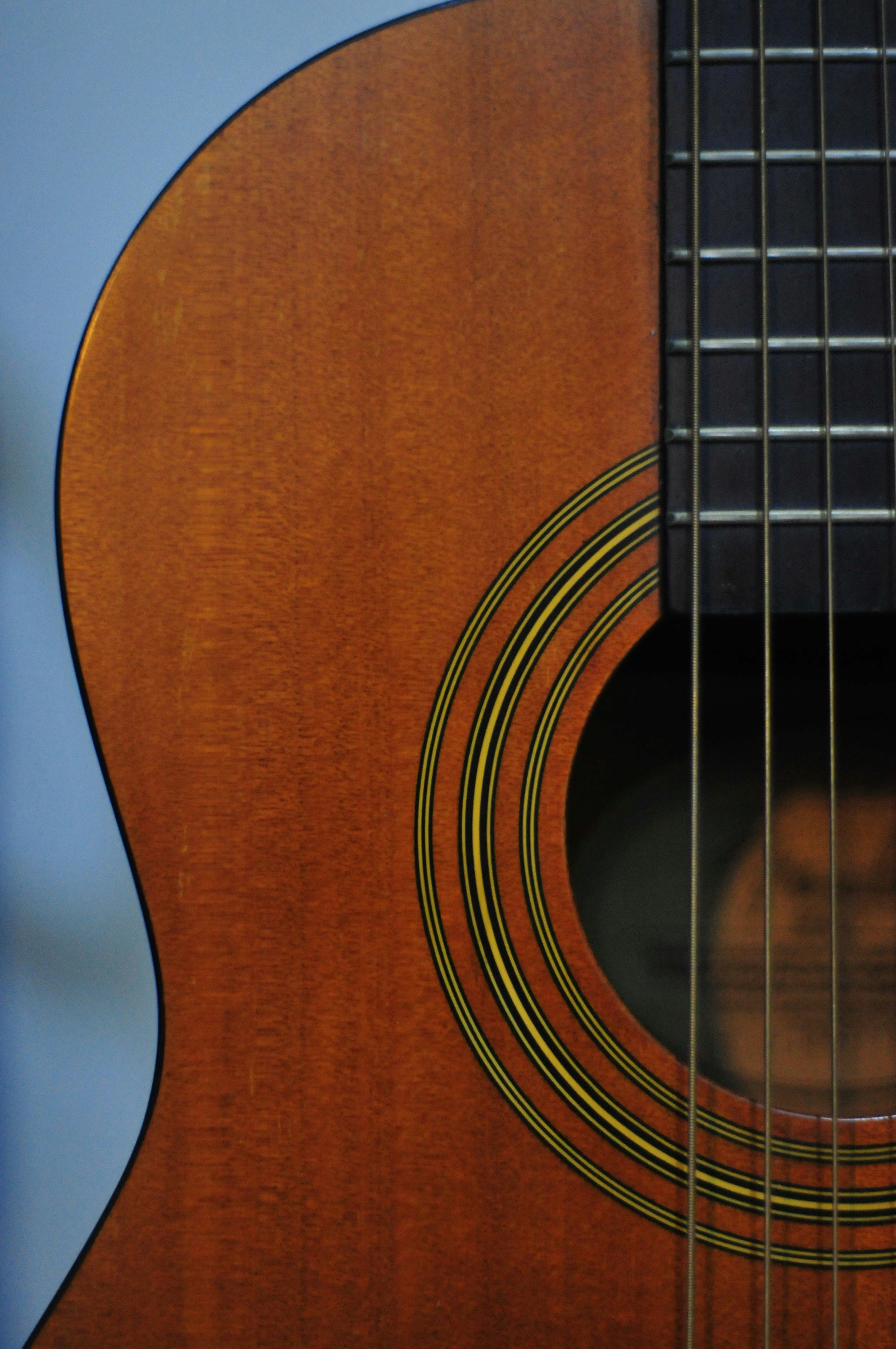 Semaine de la guitare - Exposition — visuel événement