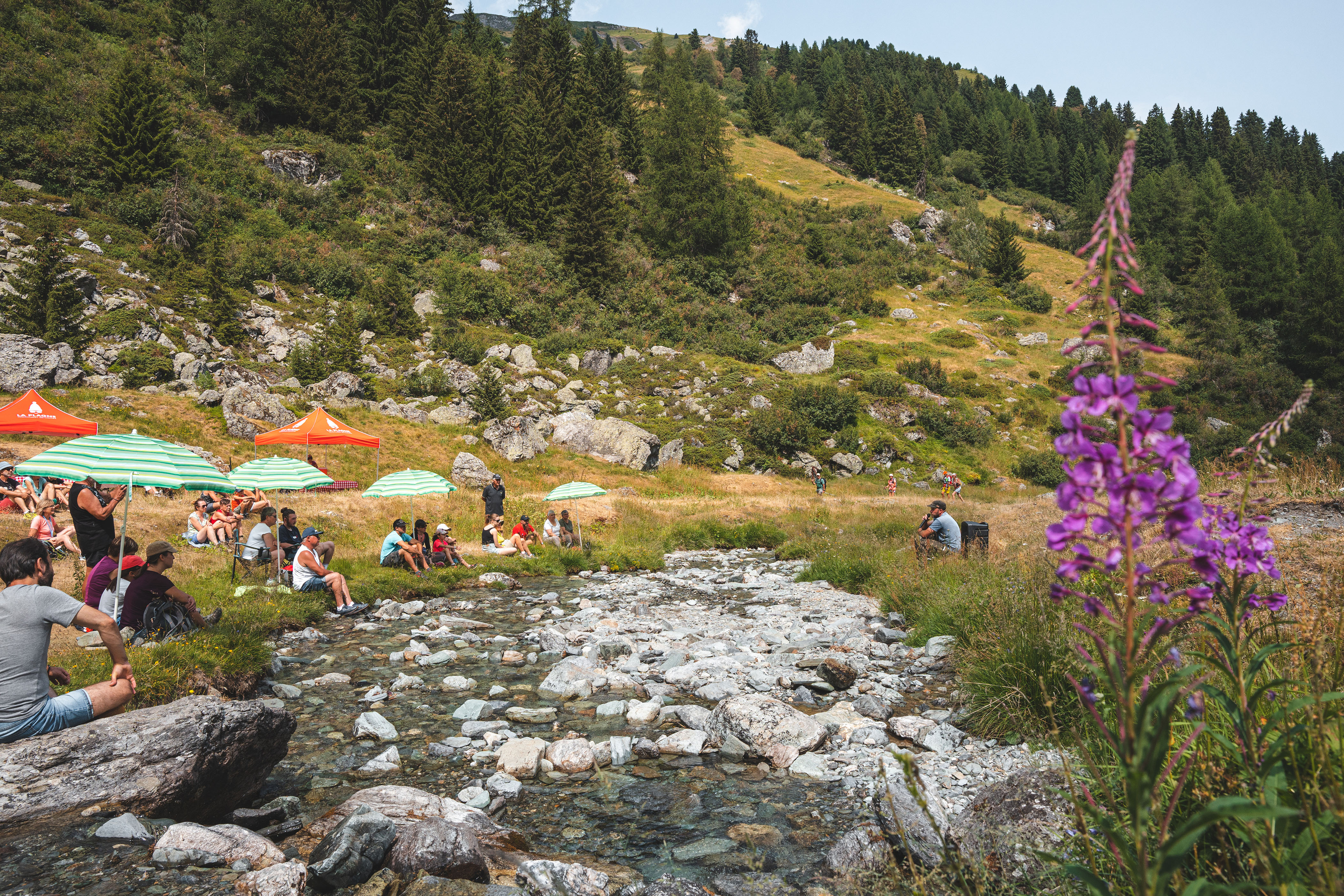 Histoires d'alpage dans la Vallée des Bauches