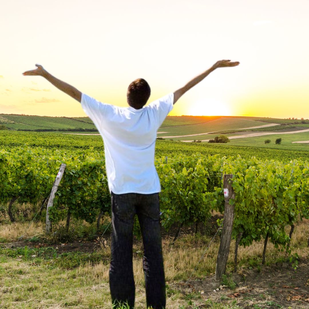 Sophrologie dans les vignes de Boudes