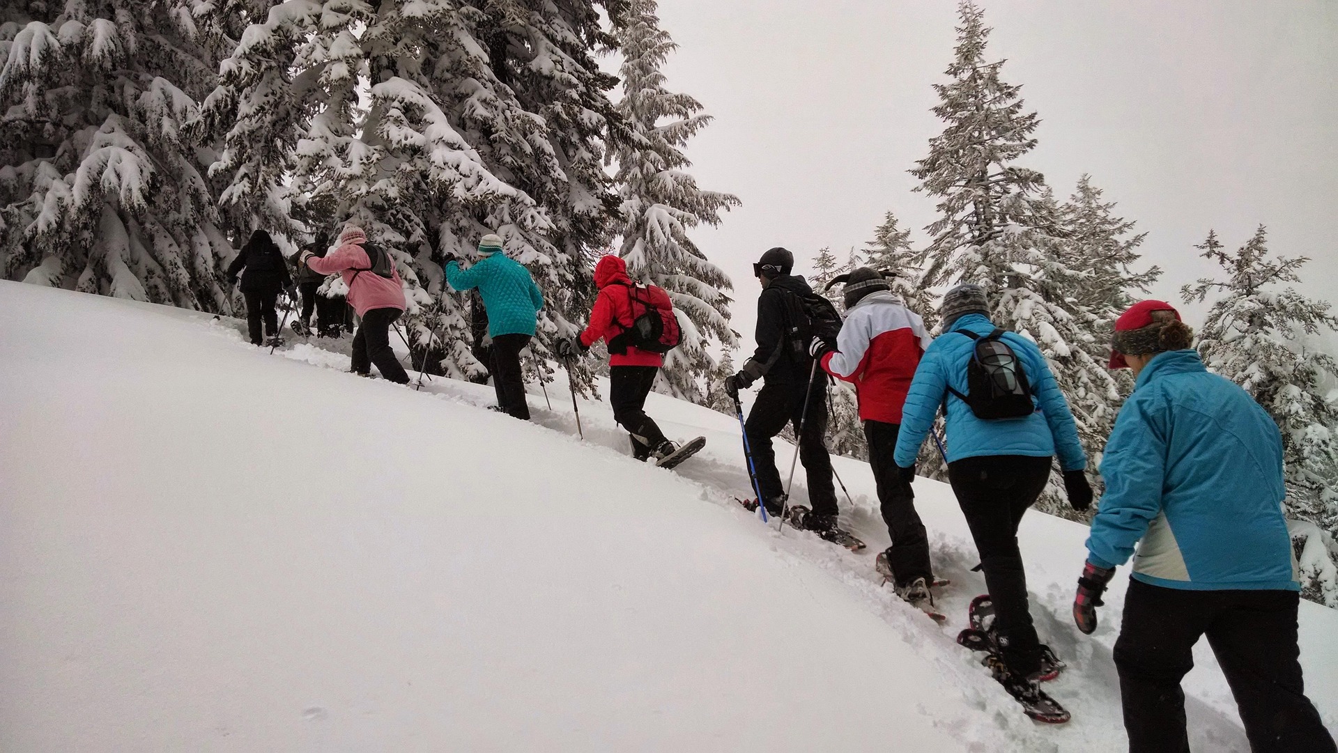 Parcours raquette sportif patente_Presles