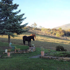 Vue extérieure du domaine des fonterouilles