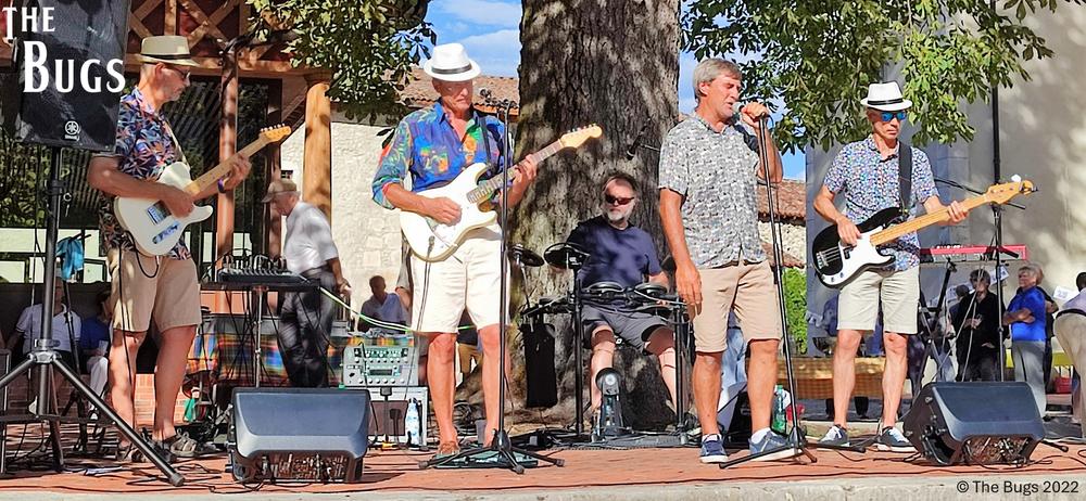 Concert du Parc : Les Bugs