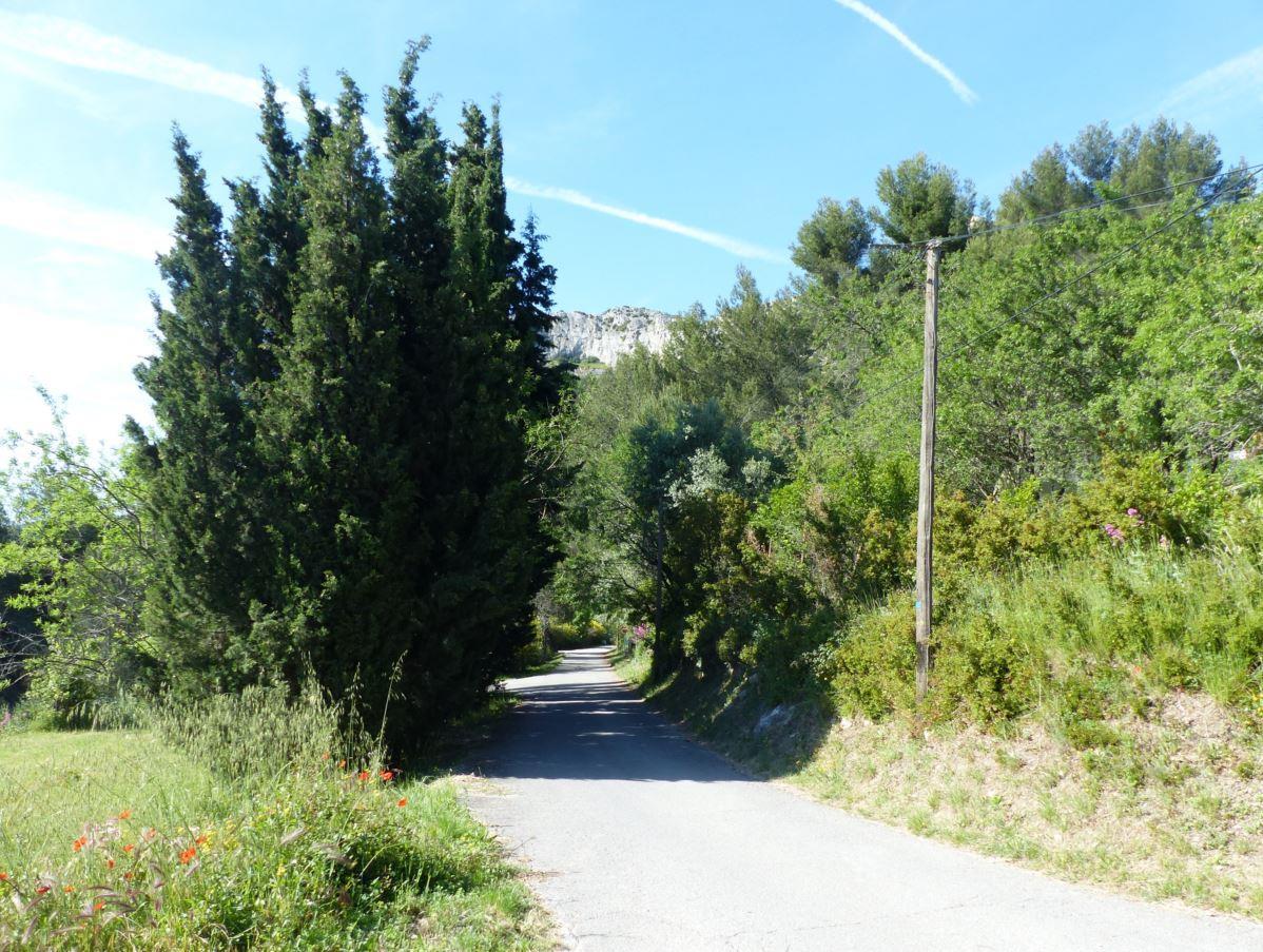 Coquelicot, Cadolive - photo 4