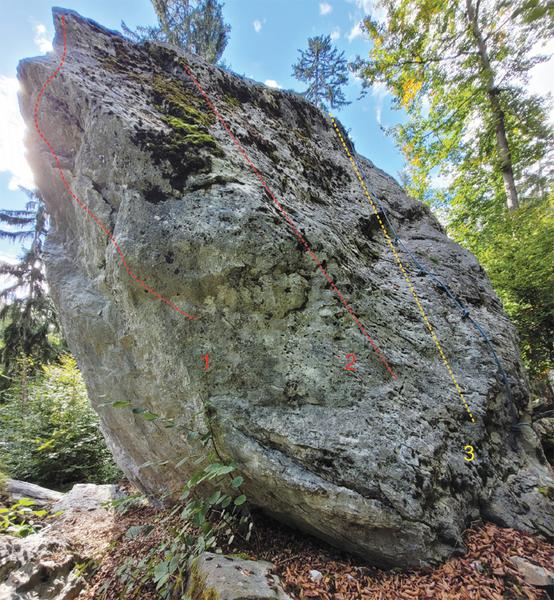 Blocs d'escalade du Plateau d'Assy_Passy