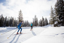 Piste de ski de fond tracée en skating