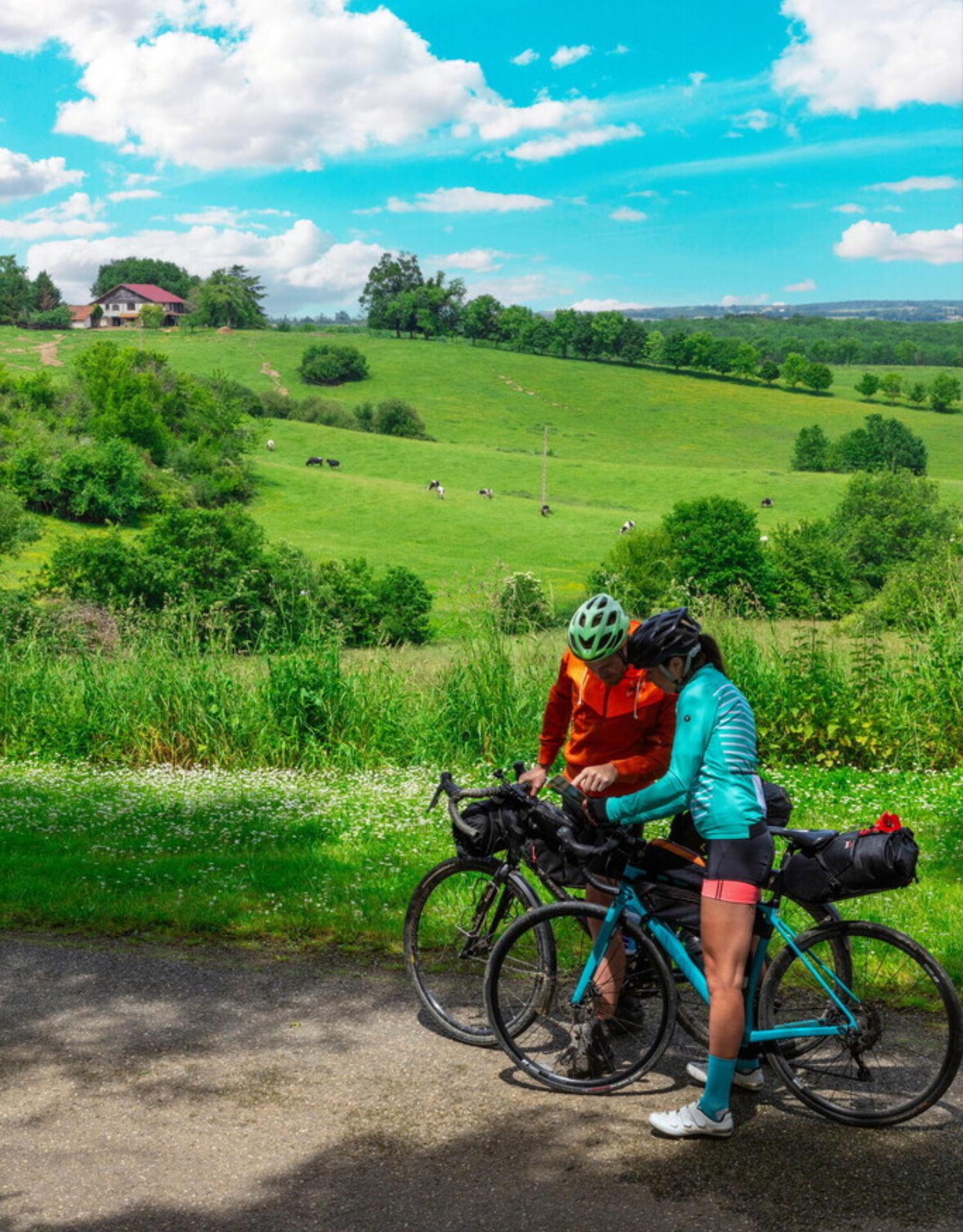Location de vélos à assistance électrique