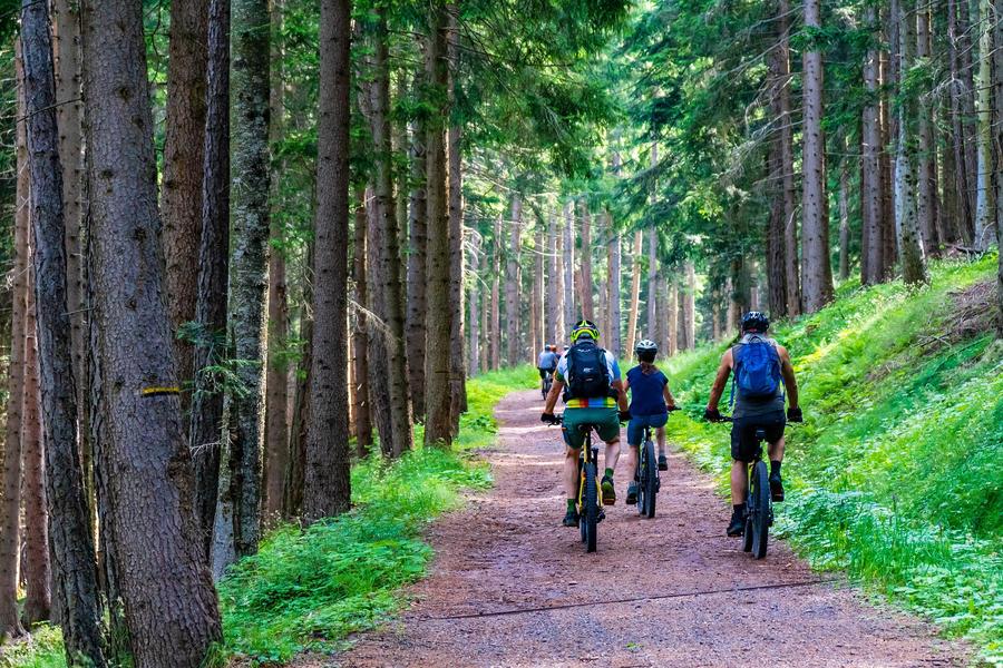 Rando des Balcons Foréziens route et VTT_Boën-sur-Lignon