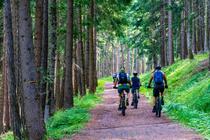 Rando des Balcons Foréziens route et VTT_Boën-sur-Lignon