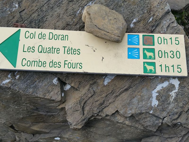 sentier pédestre : les Quatre Têtes par Doran (2364 m)