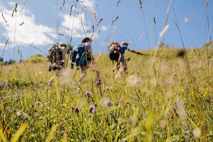 Bureau Montagne : Etoiles & Toiles_La Toussuire