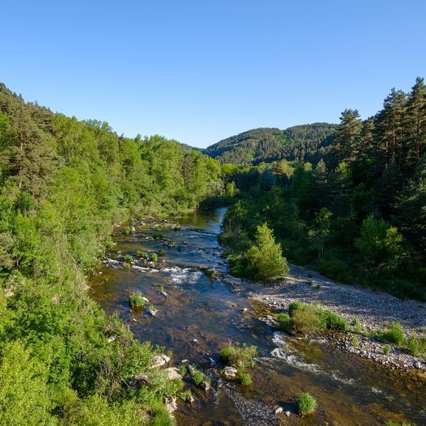 La Loire à Bonnefont - © Jérémie Mazet - © Jérémie Mazet