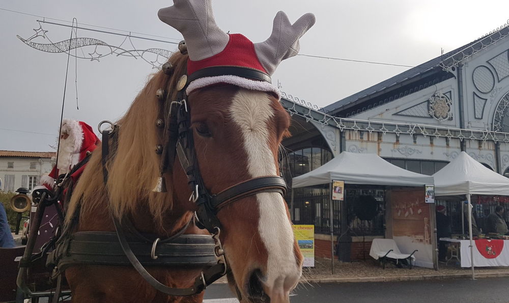 Marché de Noël de la ville de Jonzac