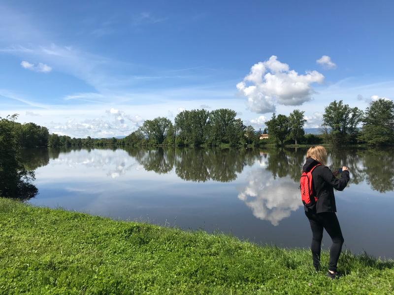 Bords de Loire