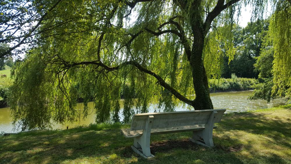 Liaison VTT (L3) Mantenay Montlin - Ferme de la Forêt_Mantenay-Montlin