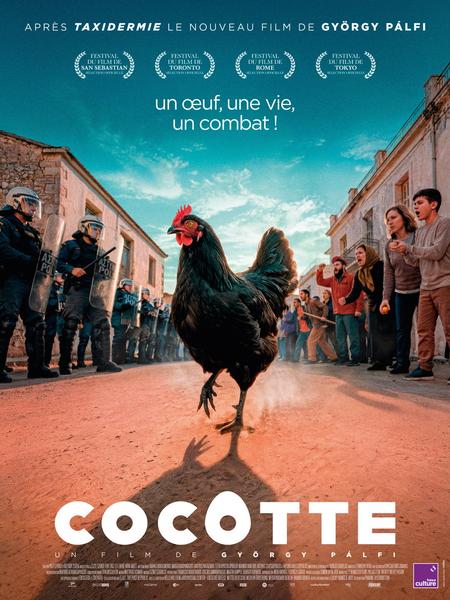 Projection du film : Cocotte