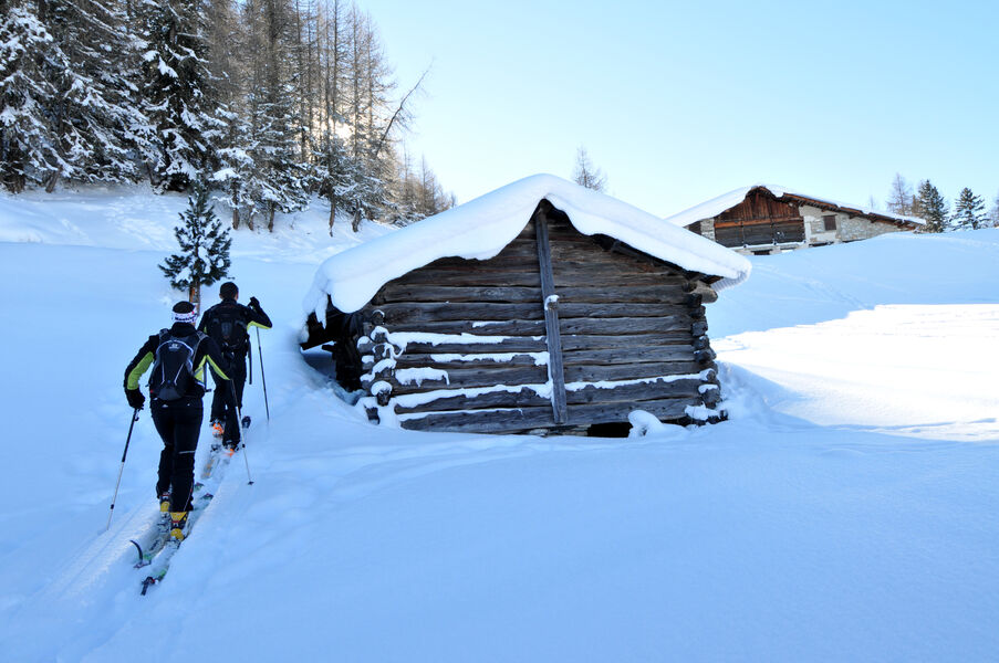 Itinéraire ski de randonnée : Les Coches - Plan Bois