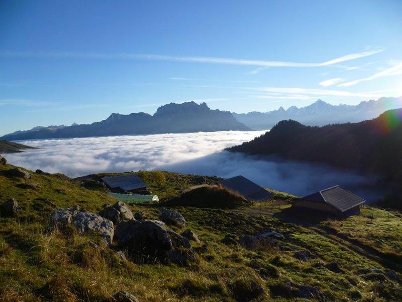 Les Armaillis de l'Alpage des Freddys