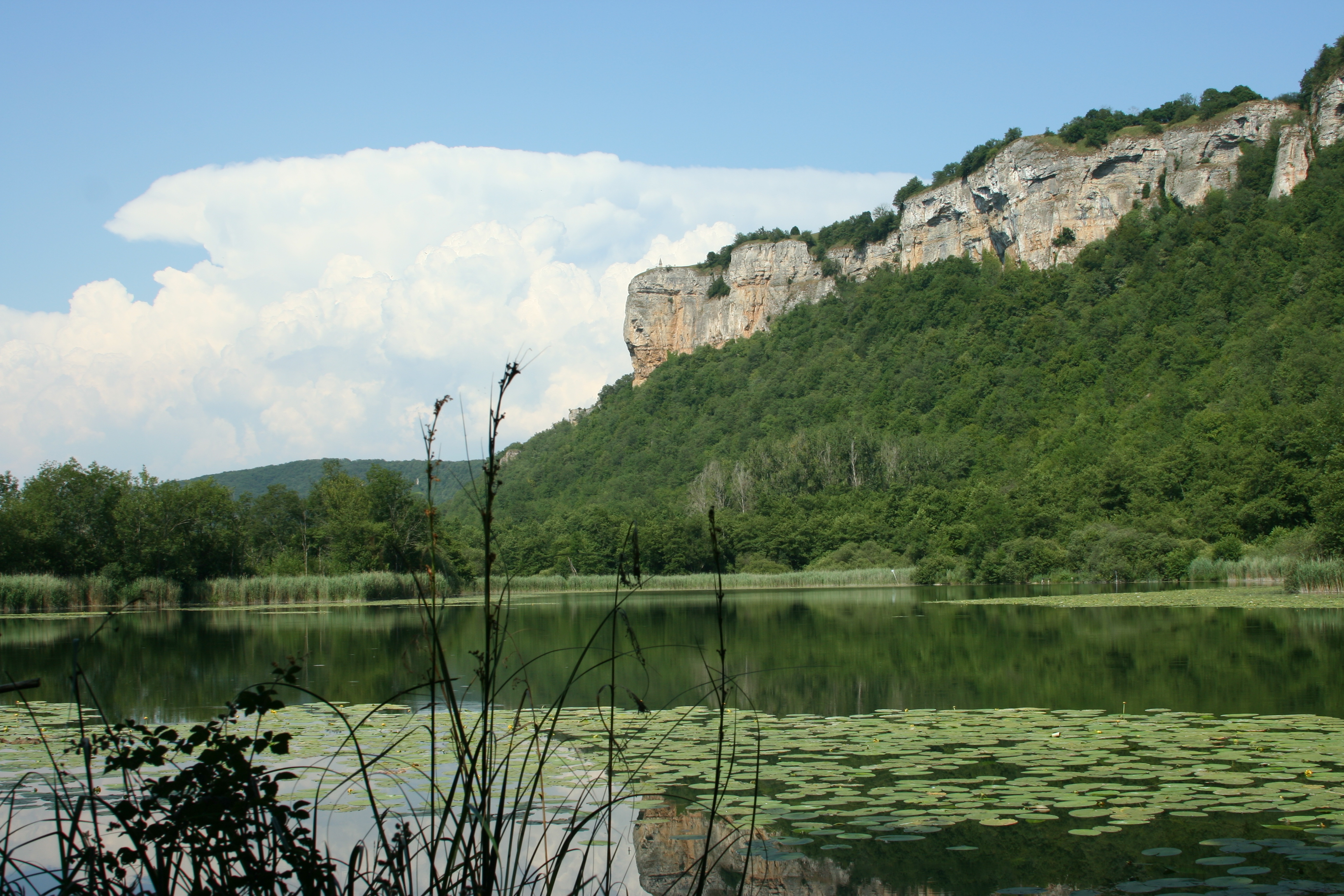 Espace Naturel Sensible de la tourbière-lac de Hières-sur-Amby