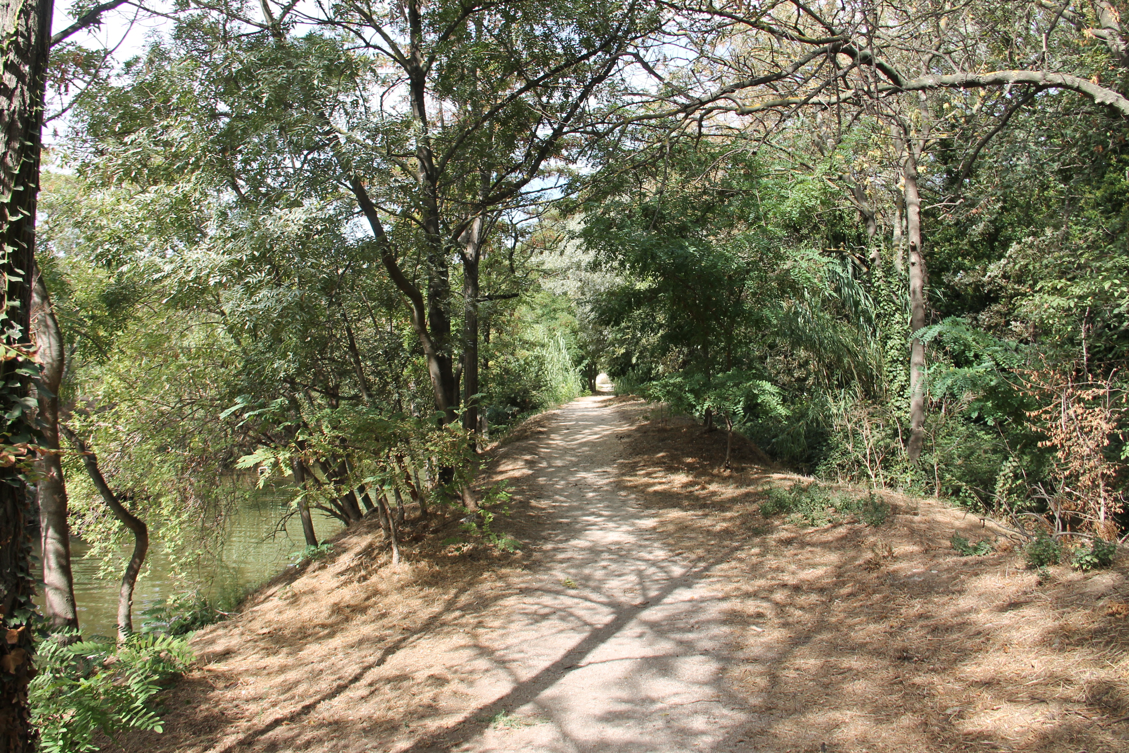 Bouches-du-Rhône en Paysages - Marignane, au fil de l'eau - photo 3