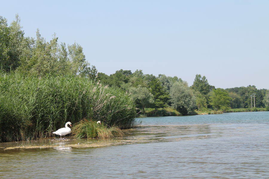 Circuit n°15 - Tour des lacs