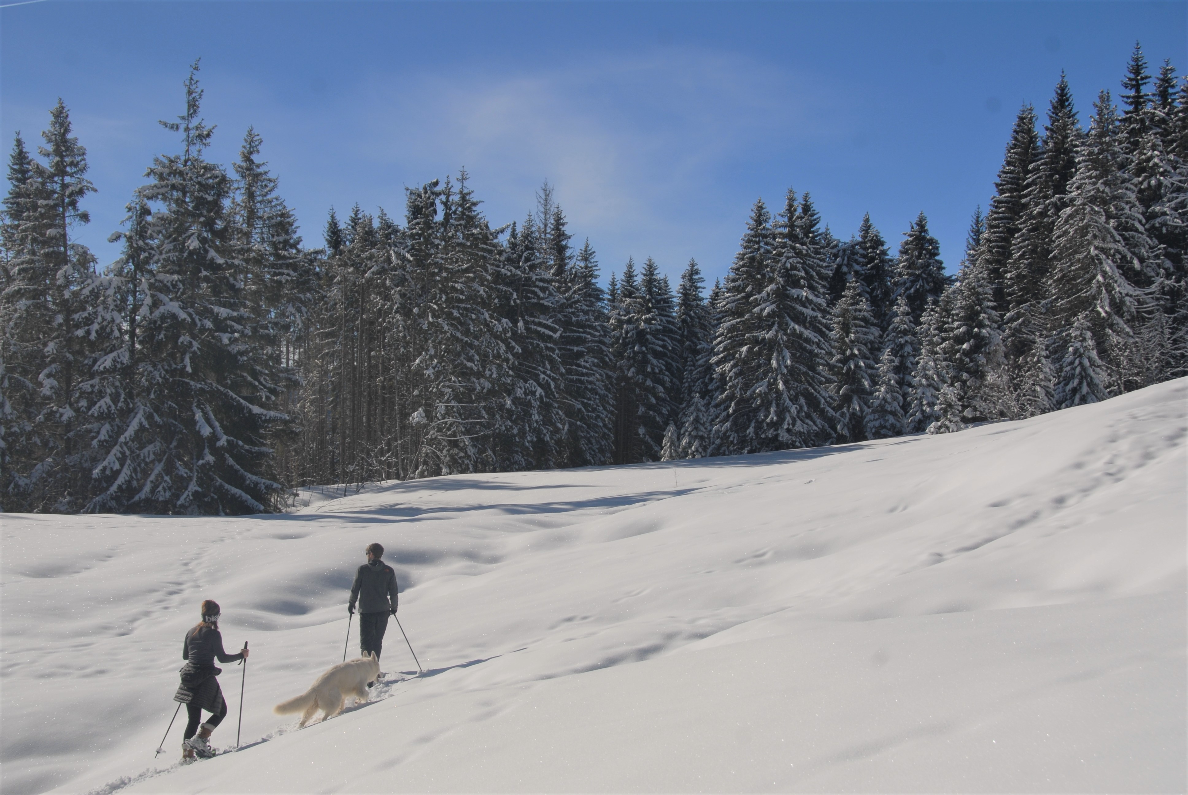 Evolution2-Chamonix-snowshoes