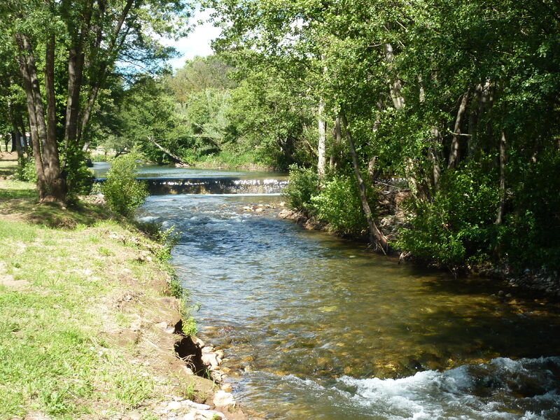 L'air des platanes de Pierrefeu-du-Var