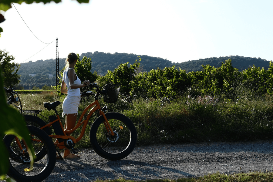 Les Rives d'Arc_Vallon-Pont-d'Arc