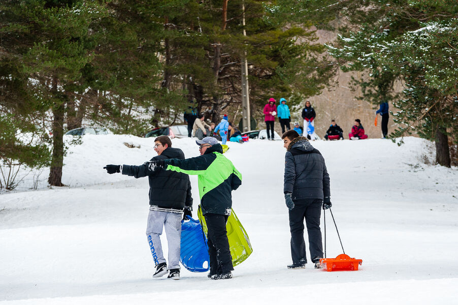 Piste luge Les Signaraux
