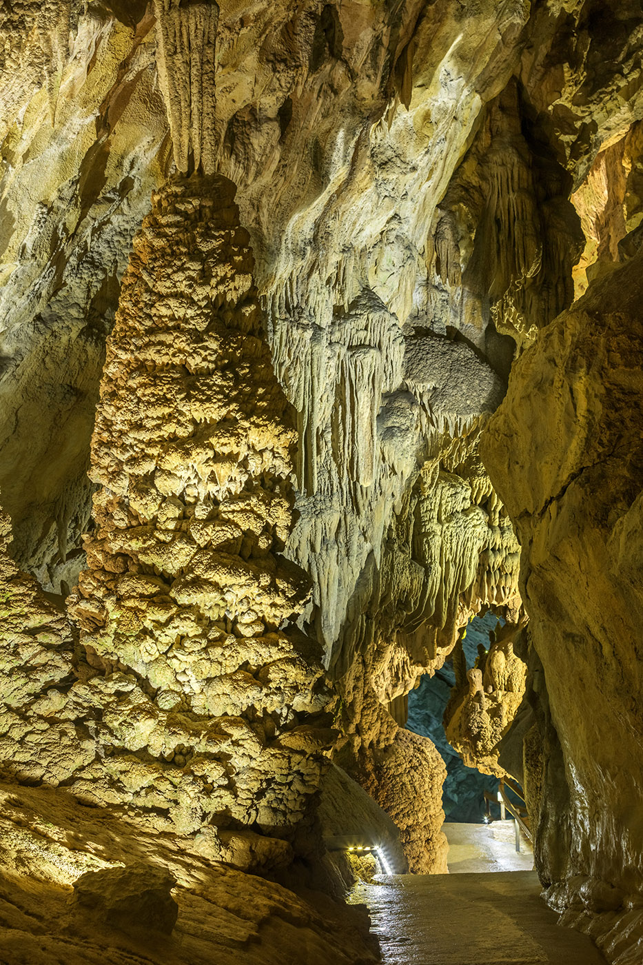 Gal vet -Grottes du Cerdon-014_BD