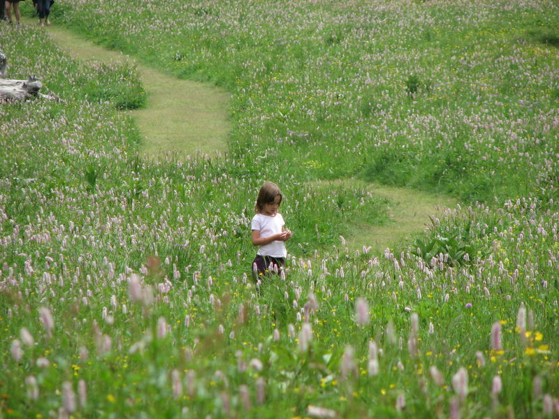 Vallon de l'Orgère Parc national de la Vanoise