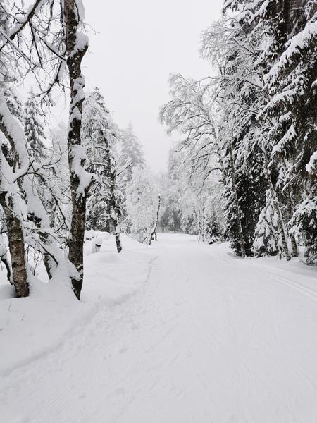 Itinéraire nordique les Mouilles_Bellevaux