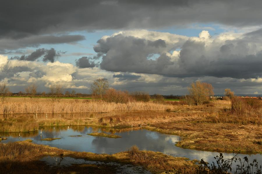 Journées mondiales des zones humides au marais de Lambre