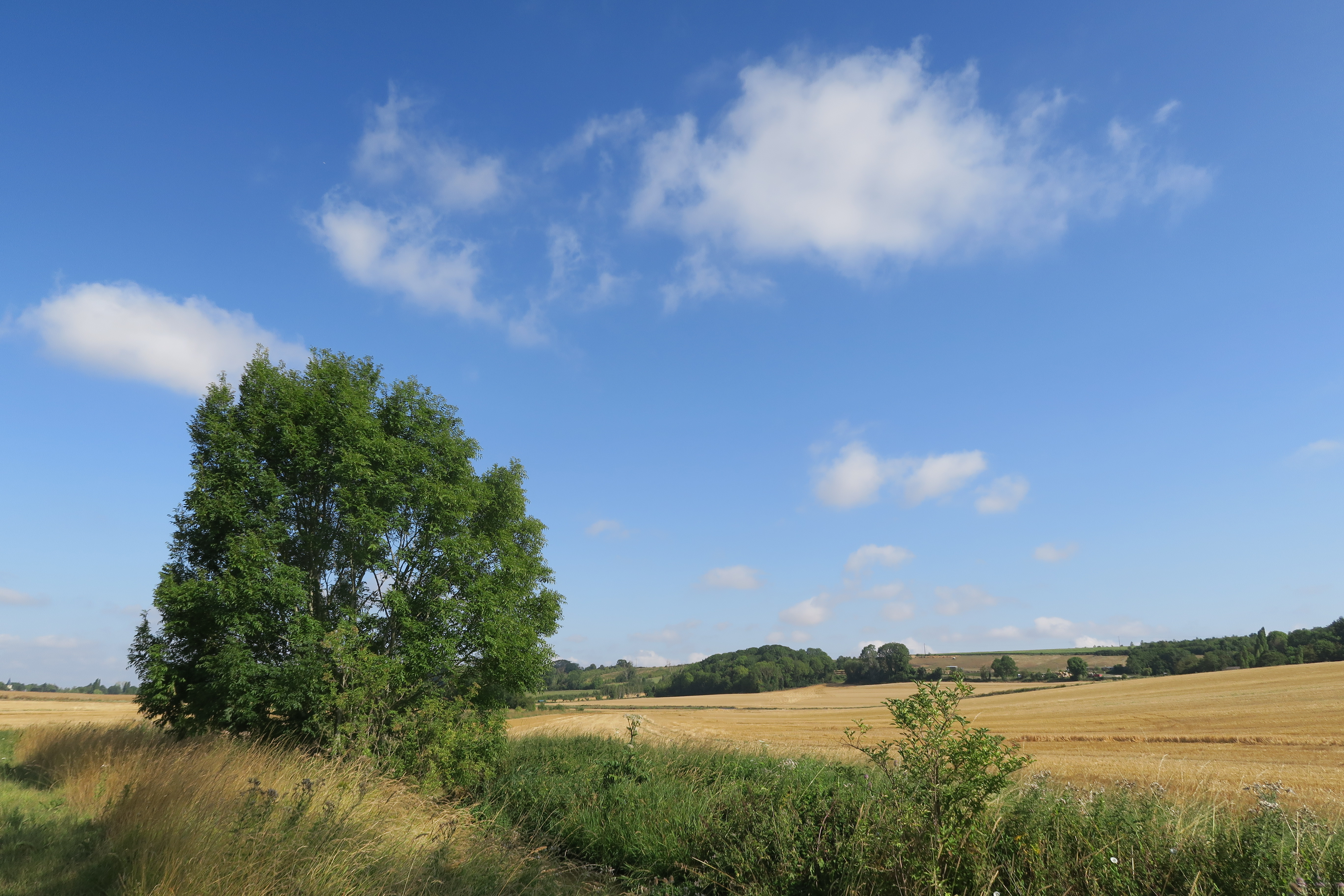 De la vallée de l'Aubette au musée de la Moisson