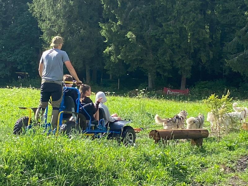 Alpes'Huskies_Champéry