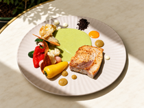 Olea_Villeneuve-Loubet
