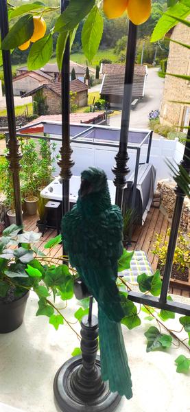 Le Lemon Tree - Gîte 4* à Panossas - Balcons du Dauphiné