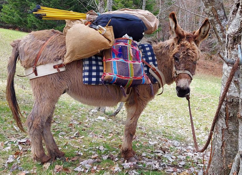 Balades au Pas de L'Ane : Journées et Bivouacs sans voiture_Clelles