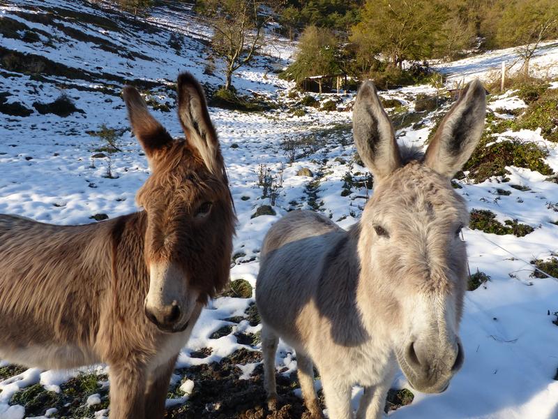 Ferme pédagogique La Bicoque
