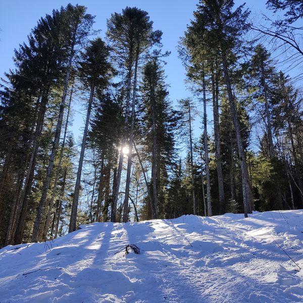 crêtes de l'orionde