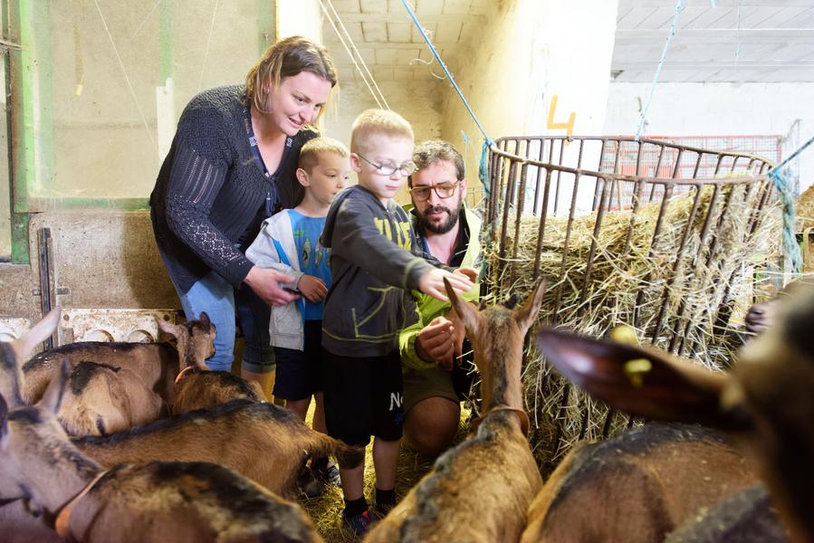 Visite de la chèvrerie Bouchet-Ravaux_Jaunac