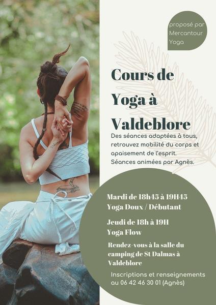 Cours de Yoga - Camping St Dalmas Valdeblore_Valdeblore
